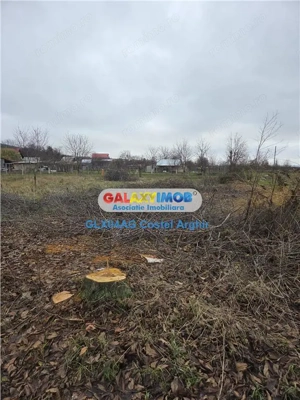 Vindem teren intravilan 1000 mp in Calinesti , dubla deschidere - imagine 3