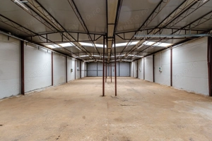 Hale depozitare/producție 2.000 mp si 10.000 mp teren în Pecica - imagine 5