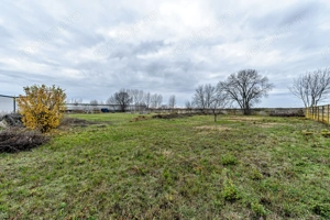 Hale depozitare/producție 2.000 mp si 10.000 mp teren în Pecica - imagine 14