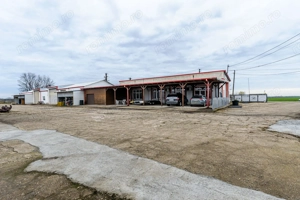 Hale depozitare/producție 2.000 mp si 10.000 mp teren în Pecica - imagine 13