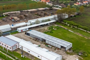 Hale depozitare/producție 2.000 mp si 10.000 mp teren în Pecica - imagine 2