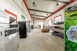 Hale depozitare/producție 2.000 mp si 10.000 mp teren în Pecica - imagine 9