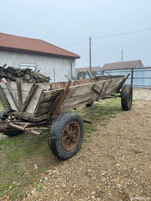 vand caruta si ham - imagine 2