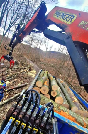 Lemn foc fag transport