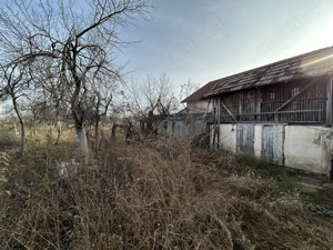 Vand casa mare, 4 cam.in Mandruloc, st.1.484 mp. sc.160,toate utilitatile introduse(incl.gaz) - imagine 16