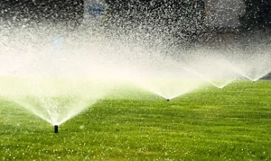 Amenajări grădini | Gazon | Irigații | Întreținere - imagine 3