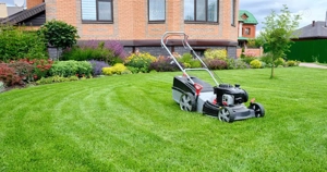 Amenajări grădini | Gazon | Irigații | Întreținere - imagine 2