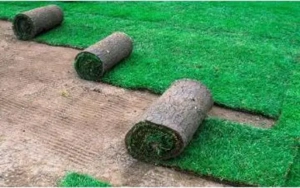 Amenajări grădini | Gazon | Irigații | Întreținere - imagine 4