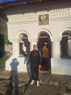 caine pentru trufe dresat - imagine 8