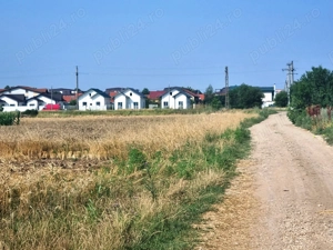 Magurele Varteju  Teren 500mp 