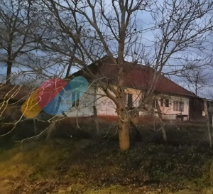 Casa individuala 1 camera, 51 mp, 3000 mp teren, Geaca