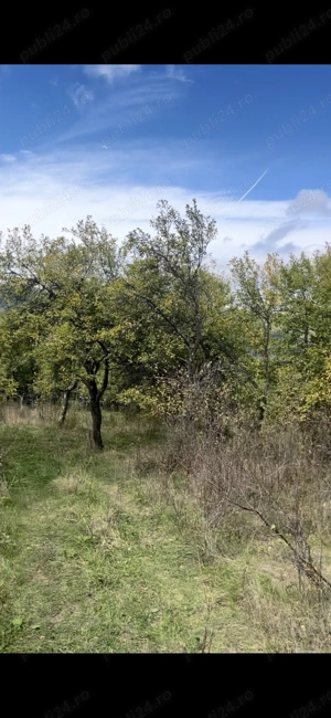 Teren Intravilan De Vânzare  - imagine 3