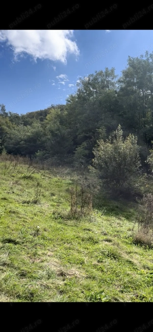 Teren Intravilan De Vânzare  - imagine 4