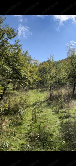 Teren Intravilan De Vânzare  - imagine 5