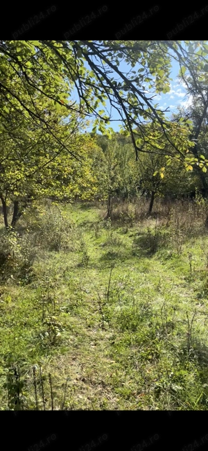 Teren Intravilan De Vânzare  - imagine 7