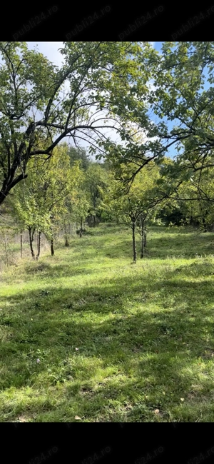 Teren Intravilan De Vânzare  - imagine 6