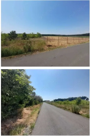 Teren 5.000 mp   Balotești, Ilfov (Intravilan) - imagine 2