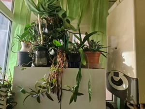 Apartament 2 camere Eden Inel 1 - imagine 8