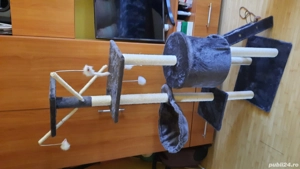 ansamblu joaca pisici