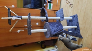 ansamblu joaca pisici - imagine 3