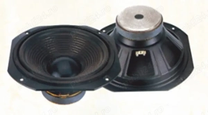 Difuzor 25cm 10inch HWF-0310 Alien 4ohm