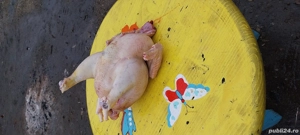 gaini de tara  - imagine 4