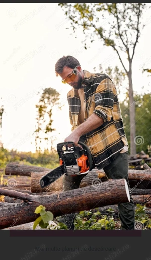Tai lemne pentru foc cu drujba la domiciliu clientului