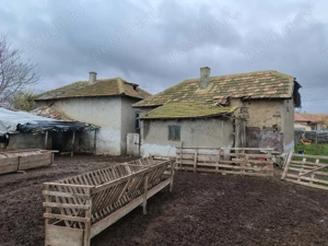 Casa Batraneasca in Comuna Stejaru, Tulcea. 2500mp, 5 camere, Urgent - imagine 2