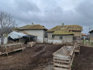 Casa Batraneasca in Comuna Stejaru, Tulcea. 2500mp, 5 camere, Urgent - imagine 4