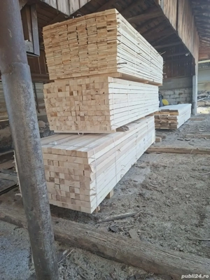 vindem cherestea rășinoase  - imagine 3