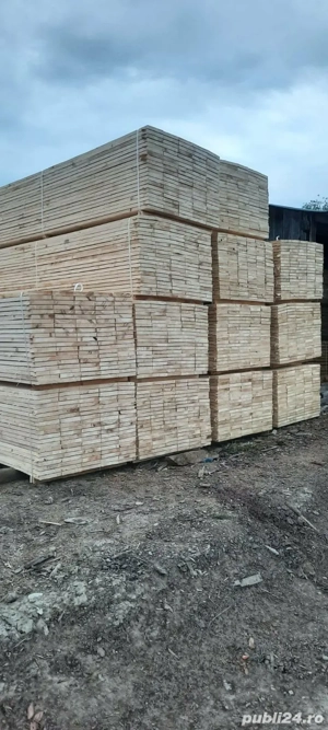 vindem cherestea rășinoase  - imagine 2