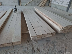 vindem cherestea rășinoase  - imagine 4