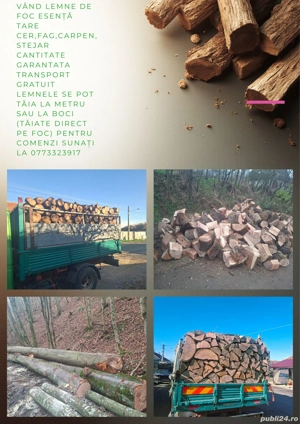 vând lemne de foc esență tare cer,fag,carpen,stejar cantitate garantata  transport gratuit  lemnele 