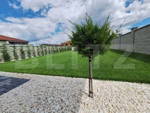 Casa 5 camere, teren 1000 mp, 177 mp Dumbravita - imagine 4