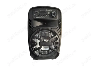 Boxa activa 8inch ABS USB SD FM BT ACCU PAudio