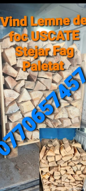 Vînd Lemne de foc USCATE Stejar Fag Paletat  - imagine 4