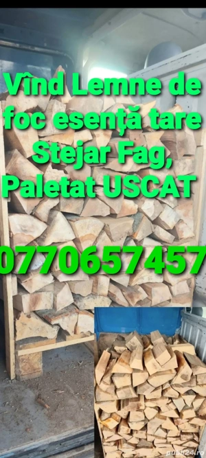 Vînd Lemne de foc USCATE Stejar Fag Paletat 