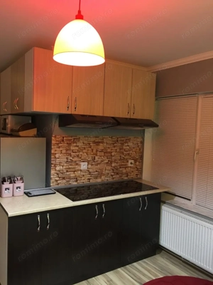 De inchiriat apartament cu o camera in zona Buziasului - imagine 2