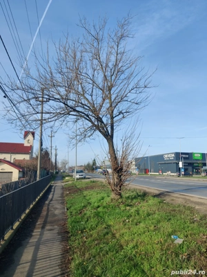 Teren ȘOSEA 1200 Industrial  București Targoviște DN 1A - imagine 4