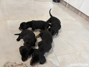 mititei si dragalasi