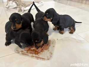 mititei si dragalasi - imagine 3