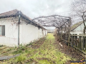 Casa cu  1.924 mp teren, de inchiriat, Sfantu Gheorghe