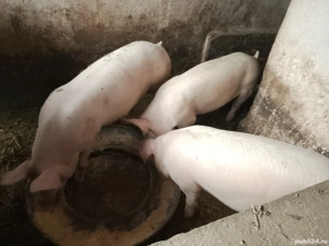 De vanzare.  - imagine 2