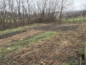 Vând casă cu grădină  - imagine 2