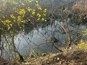 Casa in Ungaria   Biharugra - imagine 3