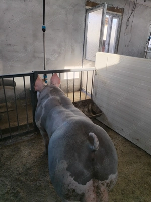 monte scroafe - imagine 5