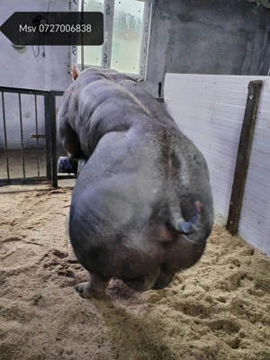 monte scroafe - imagine 4