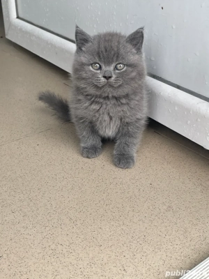 Fetite Blue si baietel Crem  - imagine 2