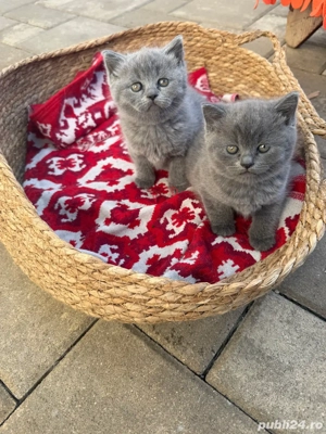 Fetite Blue si baietel Crem  - imagine 5