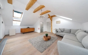 Apartament deosebit intr-o  vila  situata pe Dealul Cetății - imagine 19